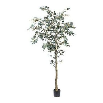 Olivo artificial MAUME, tronco artificial, frutos, 210 cm
