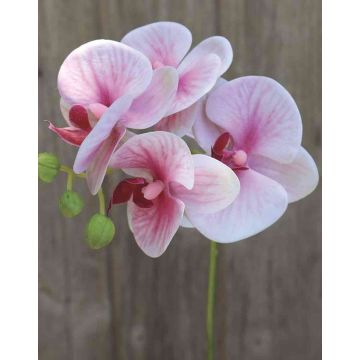 Rama artificial de Orquídea Phalaenopsis OPHELIA, fucsia-rosa, 40cm