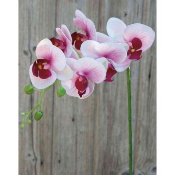 Rama artificial de Orquídea Phalaenopsis OPHELIA, fucsia-rosa, 80cm