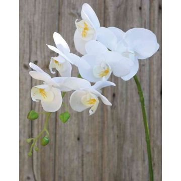 Rama artificial de Orquídea Phalaenopsis OPHELIA, blanca, 80cm