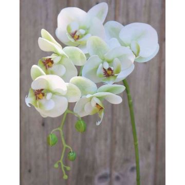 Rama artificial de Orquídea Phalaenopsis OPHELIA, verde-fucsia, 80cm