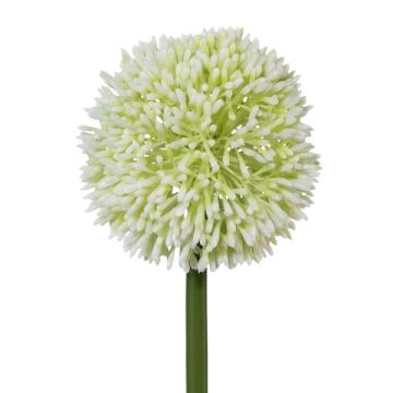 Flor decorativa Allium MENKES, blanca, 65 cm