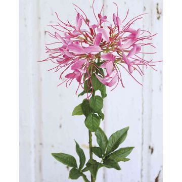 Flor araña artificial HILDEGARD, rosa, 85cm