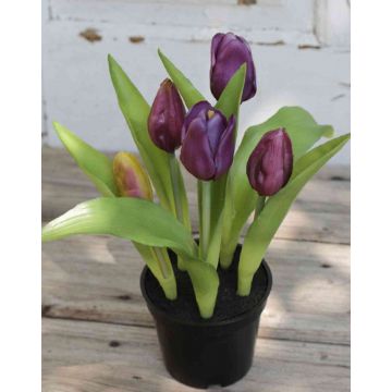 Tulipán artificial LEANA en maceta decorativa, violeta-verde, 20cm, Ø2-4cm
