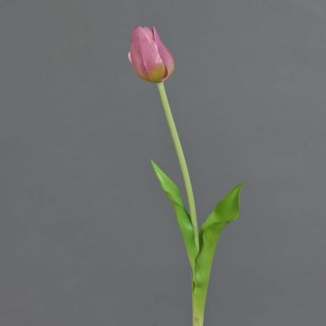 Tulipán artificial LONA, lila-verde, 45cm, Ø4cm