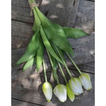 Ramo de tulipanes artificiales LONA, blanco-verde, 35cm, Ø15cm