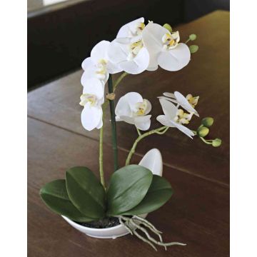 Orquídea Phalaenopsis decorativa ZARMINAH, en cuenco de cerámica, blanca, 35cm
