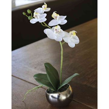 Orquídea Phalaenopsis artificial ZARMINAH en maceta de cerámica, blanco, 30cm