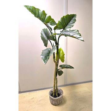 Colocasia artificial YORICK, verde, 180 cm Colocasia artificial YORICK, verde, 180 cm