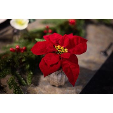 Arreglo floral artificial Flor de pascua WIGBURDA en jarrón de cristal, rojo, 15 cm
