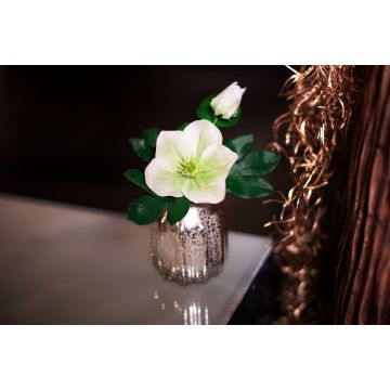 Flor decorativa rosa de Navidad WINFRIEDA en jarrón de cristal, verde crema, 20 cm