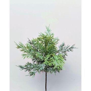 Rama decorativa de cedro BALTHILDE, verde, 50 cm