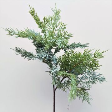 Rama decorativa de cedro BALTHILDE, verde, 80 cm