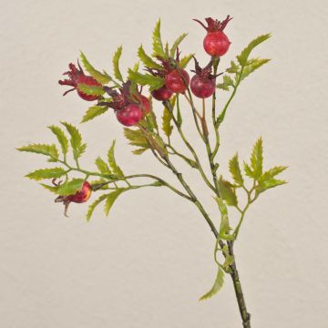 Rama decorativa de rosas silvestres VIVEKA con escaramujos, roja, 50 cm