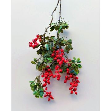 Rama de rosas de plástico WARUNA con escaramujos, roja, 85 cm
