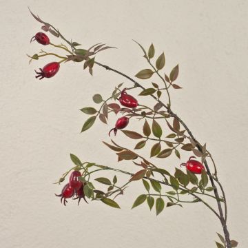 Rama artificial de rosas silvestres VARDALIA con escaramujos, roja, 95 cm