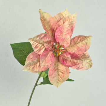 Poinsettia artificial de terciopelo LIBASSE, rosa crema, 65 cm