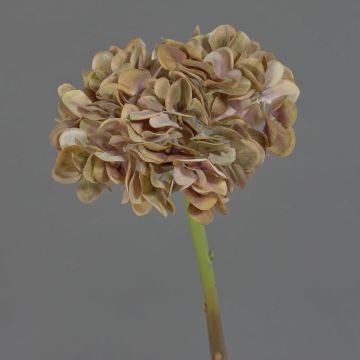Hortensia artificial MANDISA, marrón-rosa, 65 cm