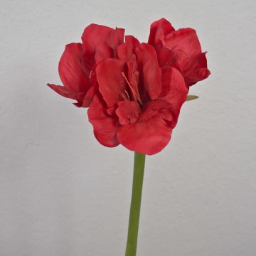 Flor decorativa amarilis MARKUNO, roja, 60 cm