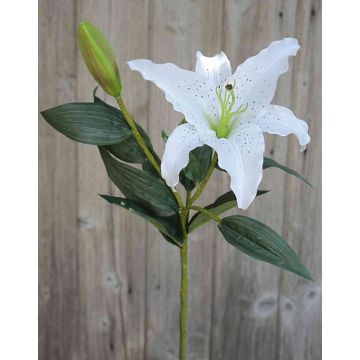 Flor textil lirio de tigre MELIHA, blanco, 75cm