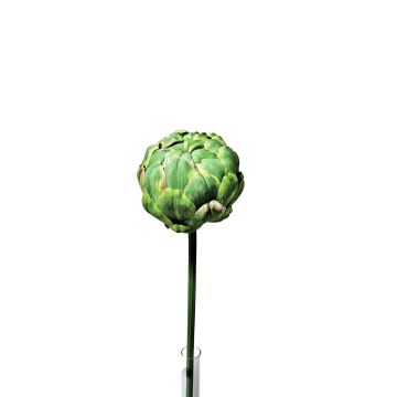 Alcachofa decorativa ABUKUMA, verde, 50 cm