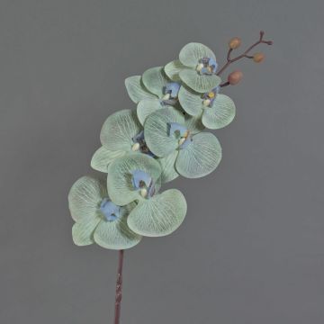 Rama artificial de orquídea Phalaenopsis LAWANDA, blanco-lila, 90 cm