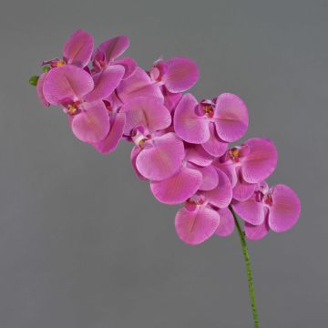 Rama artificial de orquídea Phalaenopsis XURI, rosa, 100 cm