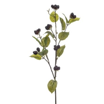 Rama decorativa de mora OTTONIE con bayas, negra, 90 cm