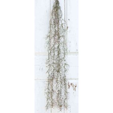 Tillandsia Usneoides artificial CEVIN, en varilla de ajuste, verde, 100cm