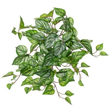 Colgante artificial de hiedra manchada KEVINA sobre varilla, Eco Collection, verde-blanco, 55 cm Colgante artificial de hiedra manchada KEVINA sobre varilla, Eco Collection, verde-blanco, 55 cm