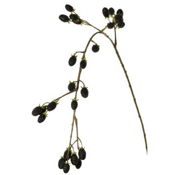 Rama decorativa de mora URUMA con frutos, negra, 100 cm Rama decorativa de mora URUMA con frutos, negra, 100 cm