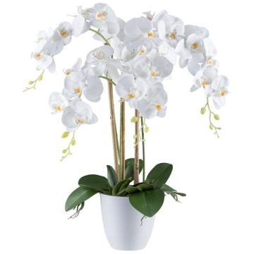 Flor decorativa Phalaenopsis BLENTOR en maceta de melamina, raíces, blanca, 60 cm Flor decorativa Phalaenopsis BLENTOR en maceta de melamina, raíces, blanca, 60 cm
