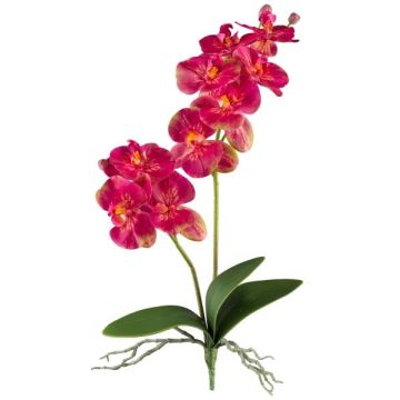 Flor decorativa Phalaenopsis KRUZBER, varilla, raíces, rosa, 55 cm