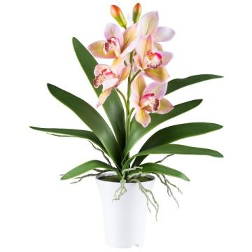 Orquídea Cymbidium BLORKE de tela en maceta de melamina, raíces, verde-rosa, 55 cm