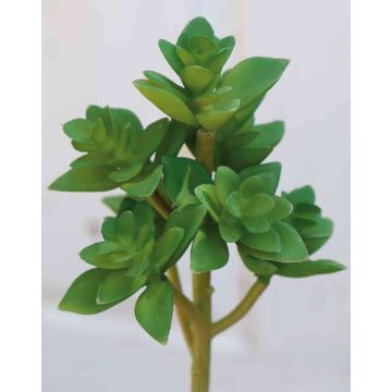Echeveria gibbiflora artificial TROY, en vara de fijación, verde, 17cm