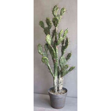 Cactus higuera artificial PHINEAS en maceta decorativa, verde-gris, 105cm