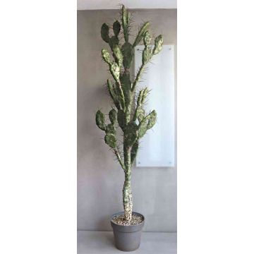 Cactus higuera artificial PHINEAS en maceta decorativa, verde-gris, 130cm