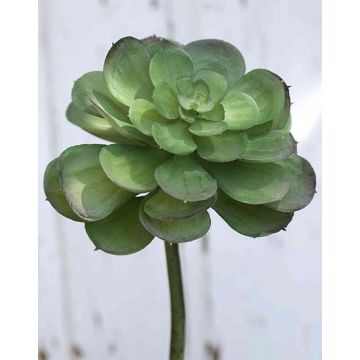 Echeveria gibbiflora artificial ERNESTO, varilla de ajuste, verde, 23cm, Ø13cm