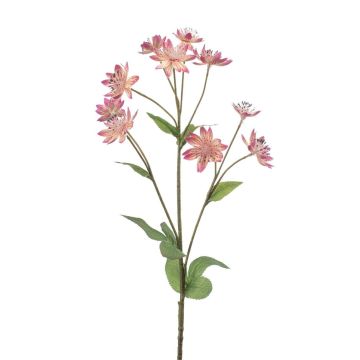 Rama decorativa de aster JAXRON, rosa, 70 cm