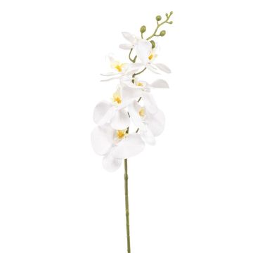 Rama de orquídea Phalaenopsis artificial AXELOR, blanca, 85 cm