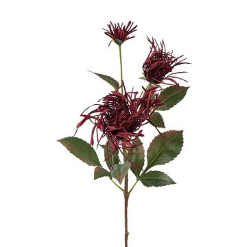Rama decorativa de crisantemo MIRANE, rojo burdeos, 70 cm