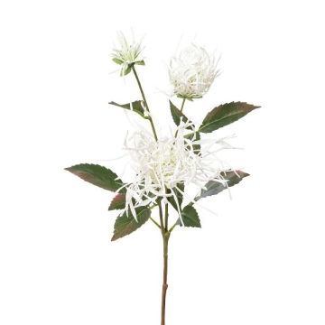 Rama decorativa de crisantemo MIRANE, blanco, 70 cm