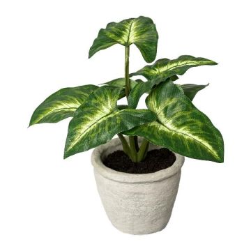 Planta decorativa Syngonium KLORHE, maceta de cemento, verde, 20 cm