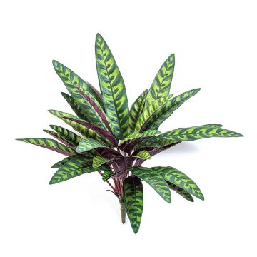 Planta artificial Calathea Makoyana MANAMI en varilla, verde-rojo, 40 cm