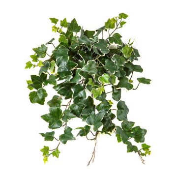 Hiedra artificial LINNEO en varilla, crossdoor, verde-blanco, 50 cm
