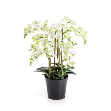 Flor artificial Phalaenopsis FINEA en maceta decorativa, crema, 85 cm