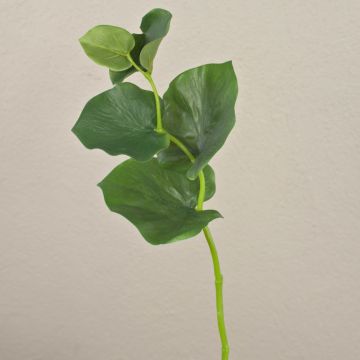 Rama artificial de galax GRACIANO, verde, 40cm