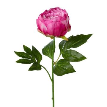 Flor artificial de peonía SEDFY, rosa oscuro, 60 cm