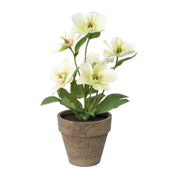 Flor decorativa de rosa de Navidad ILLUME, maceta decorativa, blanco-verde, 30 cm