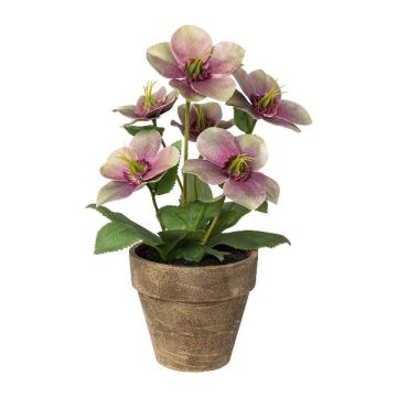 Flor decorativa de rosa de Navidad ILLUME, maceta decorativa, lila-verde, 30 cm